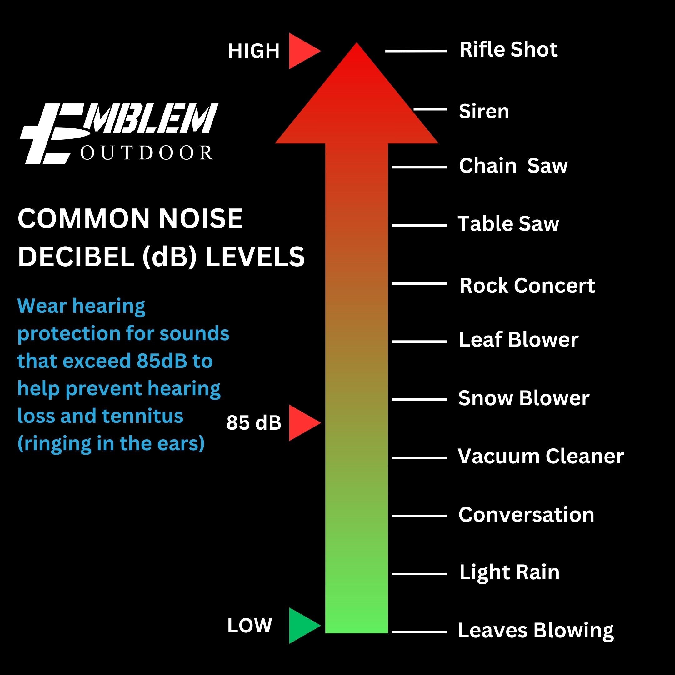 Electronic Hearing Protection